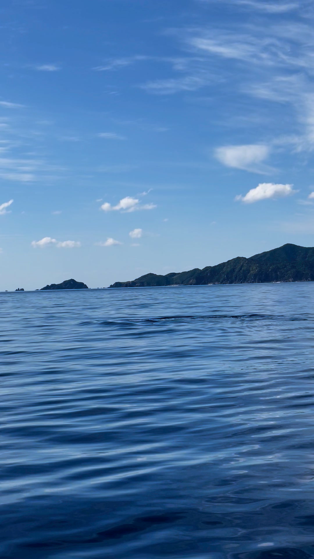加計呂麻島のゴリマリン